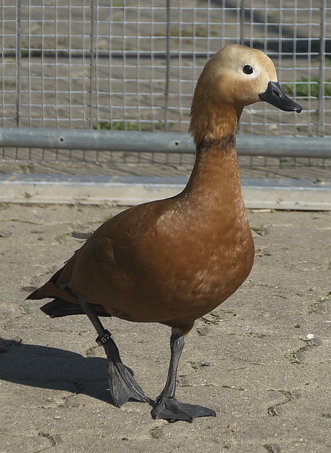 值得关注