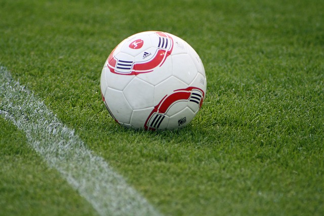 家互相传递 家互相传递