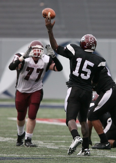 的艺术品 的艺术品