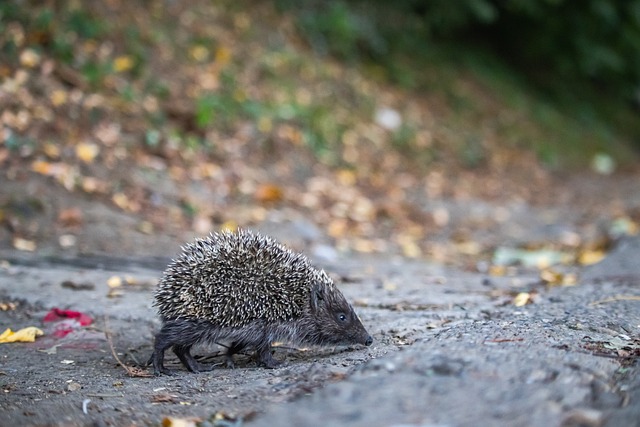 他发现分文 他发现分文