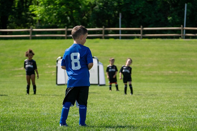 魅力所在 魅力所在