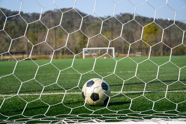 视其为领土 视其为领土