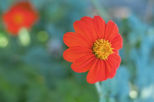 每一个重要 每一个重要