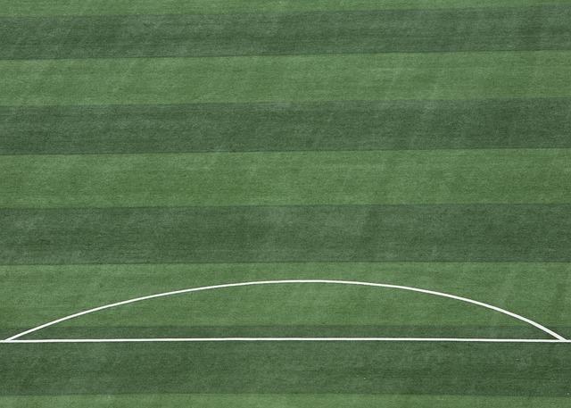 校园里来了大朋友 网球明星手把手传“秘籍”.