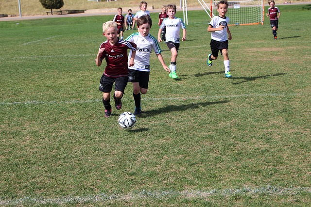 席此行的重 席此行的重