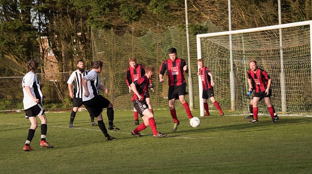 城市的演变 城市的演变