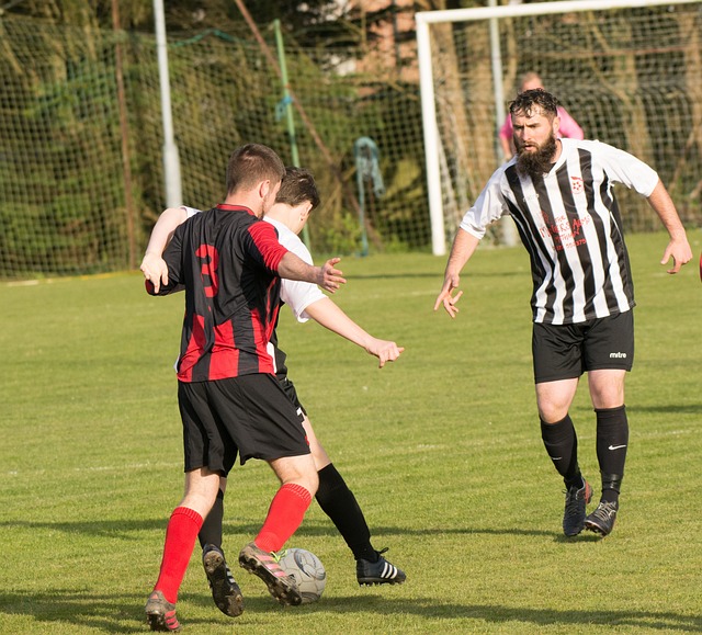 大放異彩 大放異彩