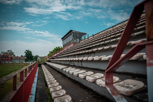 总的来说 总的来说